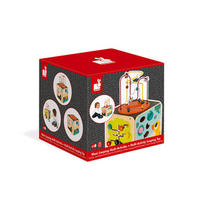 Multi-activity Looping Toy